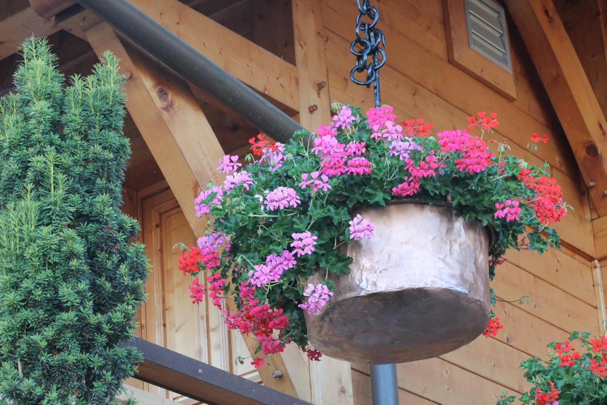 Le Chalet Des 3 Ours Neuvecelle 외부 사진